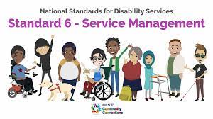 What are the 6 national standards for disability services?