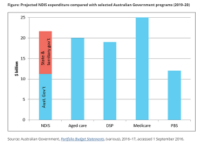 NDIS fully funded by government