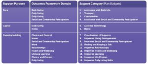 different categories in NDIS