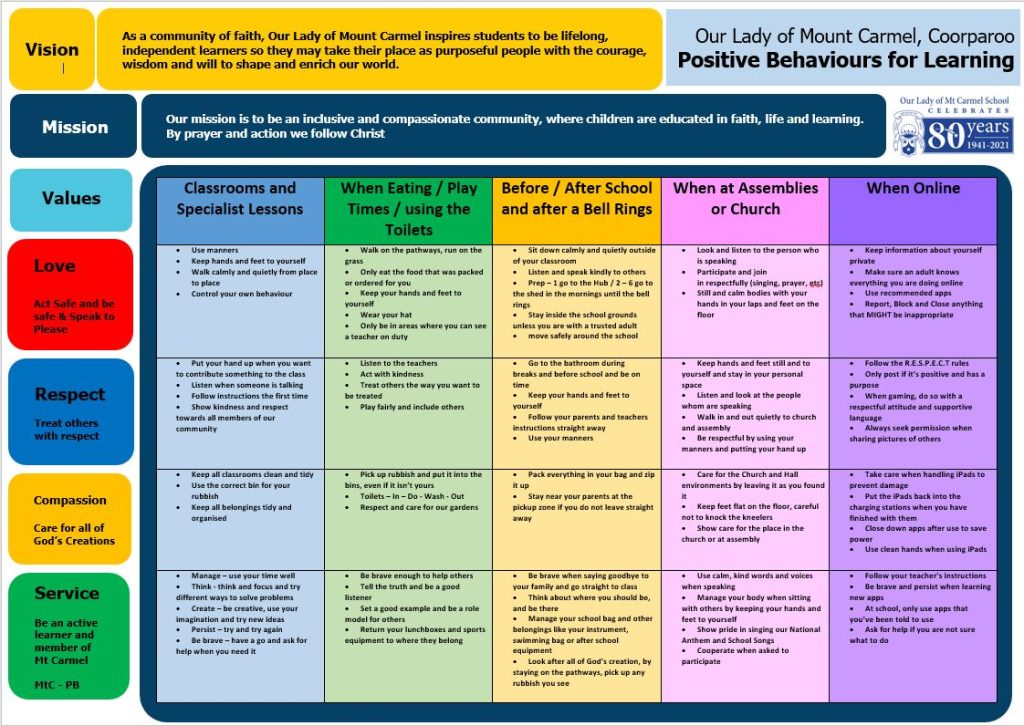 What are the 5 main elements in a behaviour support plan?